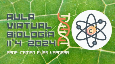 AULA VIRTUAL BIOLOGIA 11-4 2025